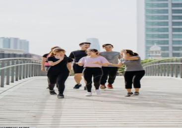 优质材料供应链