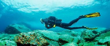 智能赛事场馆管理系统